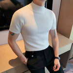 Autumn New Short Sleeve Knitted Sweater Men Clothing 2021 All Match Slim Fit Stretched Turtleneck Casual Pull Homme Pullovers