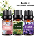 10ml Humidifier Oil 100% Pure Natural Aromatherapy Home Fragrance Overflowing Room Aroma Oil Living Office Unilateral Essen E3P9