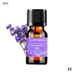 10ml Humidifier Oil 100% Pure Natural Aromatherapy Home Fragrance Overflowing Room Aroma Oil Living Office Unilateral Essen E3P9