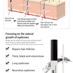 Eyebrow Growth Serum  Nourishes Eyebrow Enhancer Eyelash