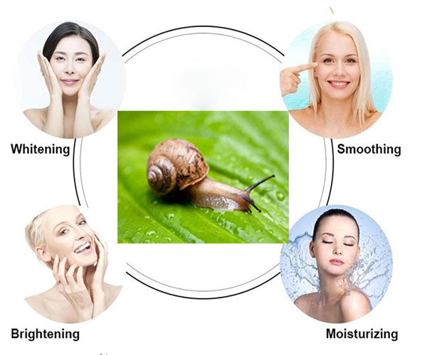 Snail Slime Extract Powder Moisturizing Skin Whitening